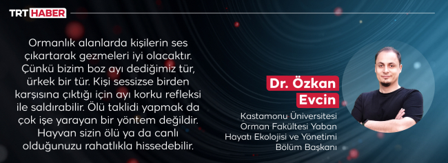 Ayı saldırısına karşı uyarı: Ormanda ses çıkartarak yürüyün